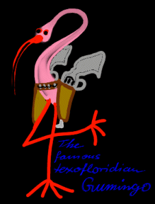 texofloridian flamingo